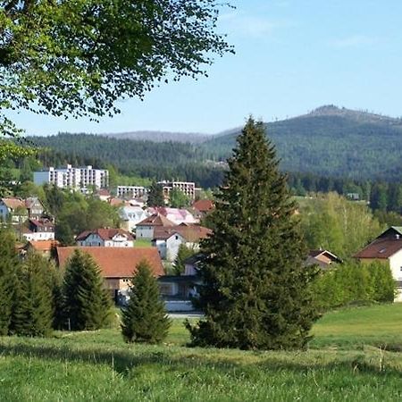 Haus Hochstein Aparthotel Haidmühle Exterior foto