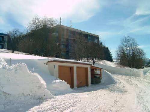 Haus Hochstein Aparthotel Haidmühle Exterior foto