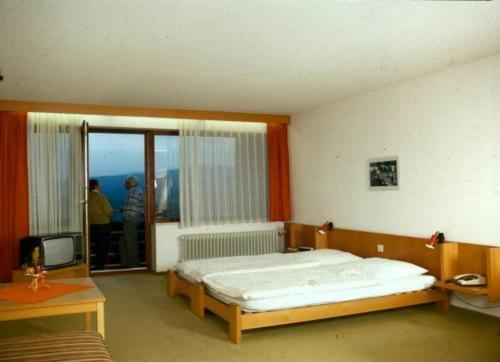 Haus Hochstein Aparthotel Haidmühle Servicios foto